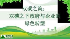 【專家】葛紅林&宋鑫：雙碳之策：雙碳之下政府與企業(yè)的綠色轉(zhuǎn)型