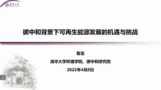 【專家】碳中和背景下可再生能源發(fā)展的機遇與挑戰(zhàn)
