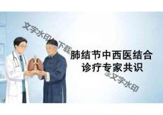 2026年医学课件——肺结节中西医结合诊疗专家共识新版