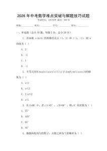 2026年中考數學難點突破與解題技巧試題