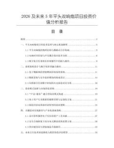 2026及未來5年平頭雙響炮項目投資價值分析報告
