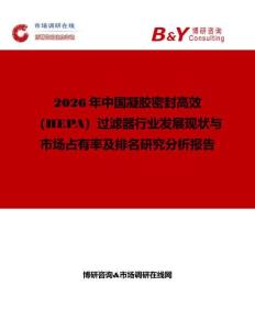 2026年中國凝膠密封高效（HEPA）過濾器行業(yè)發(fā)展現(xiàn)狀與市場占有率及排名研究分析報(bào)告