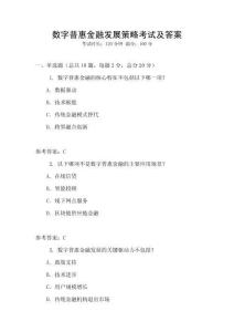 數(shù)字普惠金融發(fā)展策略考試及答案
