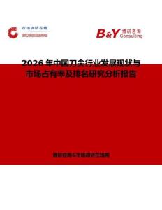 2026年中國刀尖行業發展現狀與市場占有率及排名研究分析報告