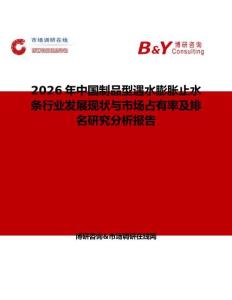 2026年中國制品型遇水膨脹止水條行業(yè)發(fā)展現(xiàn)狀與市場占有率及排名研究分析報告