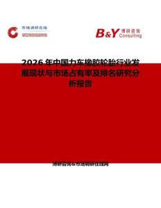 2026年中國力車橡膠輪胎行業(yè)發(fā)展現(xiàn)狀與市場(chǎng)占有率及排名研究分析報(bào)告