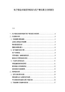 電子錢包市場競爭格局與用戶增長潛力分析報告