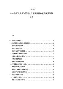 2025-2030俄羅斯天然氣管道建設市場供需檢視及融資測算報告