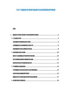 2025儲能技術(shù)突破與能源行業(yè)變革趨勢研究報告