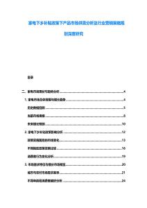 家電下鄉(xiāng)補貼政策下產(chǎn)品市場供需分析及行業(yè)營銷策略規(guī)劃深度研究