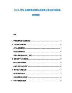 2025-2030中國跨境電商行業(yè)發(fā)展現(xiàn)狀及未來市場趨勢研究報(bào)告