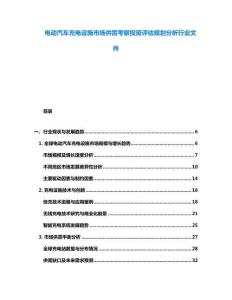 電動汽車充電設(shè)施市場供需考察投資評估規(guī)劃分析行業(yè)文件