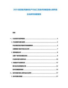 2025航空航天器材生產(chǎn)行業(yè)工藝技術(shù)突破及核心部件自主化研究深度報告