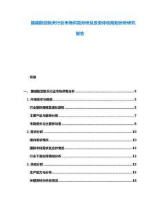 挪威航空航天行業(yè)市場供需分析及投資評估規(guī)劃分析研究報告