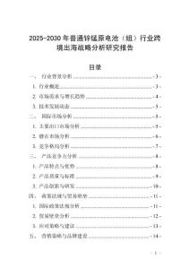 2025-2030年普通鋅錳原電池（組）行業跨境出海戰略分析研究報告