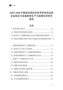2025-2030年智能電網自然科學研究和試驗企業制定與實施新質生產力戰略分析研究報告