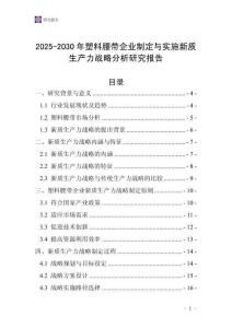 2025-2030年塑料腰帶企業(yè)制定與實(shí)施新質(zhì)生產(chǎn)力戰(zhàn)略分析研究報(bào)告
