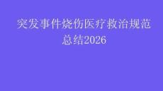 突發事件燒傷醫療救治規范總結2026