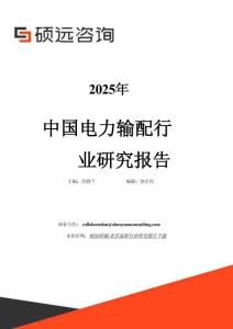 碩遠咨詢：2025年中國電力輸配行業(yè)研究報告