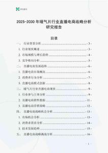 2025-2030年暖氣片行業直播電商戰略分析研究報告