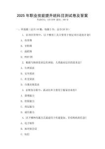 2025年職業(yè)技能提升班科目測試卷及答案