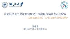 面向新型電力系統(tǒng)穩(wěn)定性提升的構網(wǎng)型裝備設計與配置