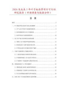 2026及未來5年葉子板面罩項目可行性研究報告（市場調查與數據分析）