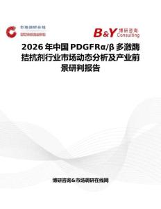 2026年中國PDGFRα β多激酶拮抗劑行業市場動態分析及產業前景研判報告