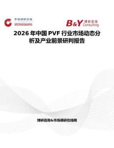 2026年中國PVF行業(yè)市場動態(tài)分析及產(chǎn)業(yè)前景研判報告