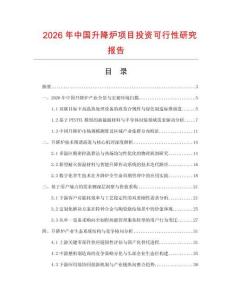 2026年中國升降爐項目投資可行性研究報告
