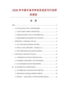2026年中國半身吊帶項目投資可行性研究報告