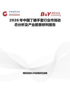 2026年中國丁睛手套行業市場動態分析及產業前景研判報告