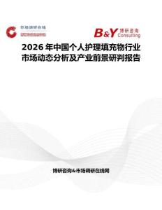 2026年中國個人護理填充物行業市場動態分析及產業前景研判報告