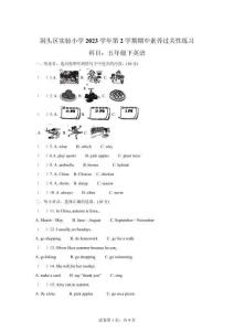 人教PEP版2023-2024學年浙江省溫州市洞頭區(qū)五年級下冊期中素養(yǎng)過關(guān)性練習英語試卷【可打印＋答案】