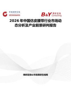 2026年中國仿皮腰帶行業(yè)市場動態(tài)分析及產(chǎn)業(yè)前景研判報告