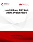 2026年中國BJD 假發行業市場動態分析及產業前景研判報告