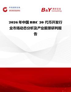 2026年中國(guó)BRC 20 代幣開發(fā)行業(yè)市場(chǎng)動(dòng)態(tài)分析及產(chǎn)業(yè)前景研判報(bào)告