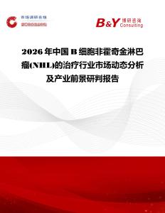 2026年中國(guó)B細(xì)胞非霍奇金淋巴瘤(NHL)的治療行業(yè)市場(chǎng)動(dòng)態(tài)分析及產(chǎn)業(yè)前景研判報(bào)告