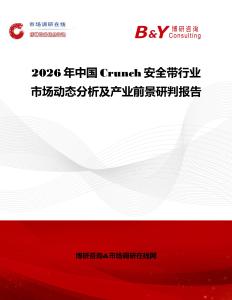 2026年中國Crunch安全帶行業市場動態分析及產業前景研判報告