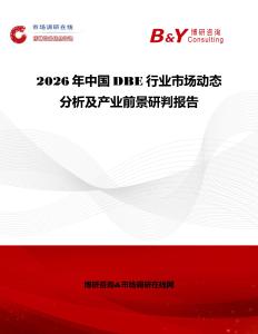 2026年中國DBE行業(yè)市場動態(tài)分析及產(chǎn)業(yè)前景研判報告