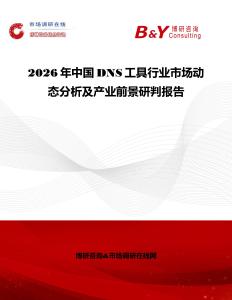 2026年中國DNS工具行業市場動態分析及產業前景研判報告
