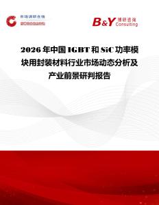 2026年中國IGBT和SiC功率模塊用封裝材料行業(yè)市場動態(tài)分析及產(chǎn)業(yè)前景研判報告