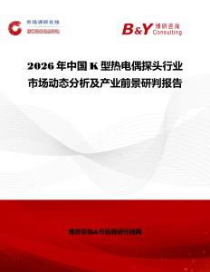 2026年中國(guó)K型熱電偶探頭行業(yè)市場(chǎng)動(dòng)態(tài)分析及產(chǎn)業(yè)前景研判報(bào)告