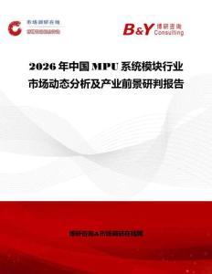2026年中國MPU系統(tǒng)模塊行業(yè)市場動態(tài)分析及產(chǎn)業(yè)前景研判報告