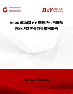 2026年中国PP塑胶行业市场动态分析及产业前景研判报告