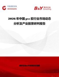 2026年中國pvc膠行業(yè)市場動態(tài)分析及產(chǎn)業(yè)前景研判報告