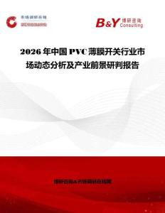 2026年中國PVC薄膜開關(guān)行業(yè)市場動態(tài)分析及產(chǎn)業(yè)前景研判報告