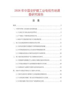 2026年中國(guó)全爐膛工業(yè)電視市場(chǎng)調(diào)查研究報(bào)告
