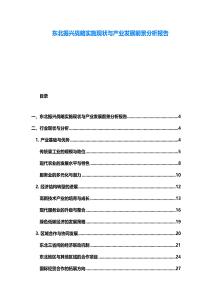 東北振興戰(zhàn)略實施現(xiàn)狀與產(chǎn)業(yè)發(fā)展前景分析報告