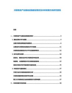 冷鏈物流產(chǎn)業(yè)基礎(chǔ)設(shè)施建設(shè)現(xiàn)狀及未來發(fā)展方向研究報(bào)告